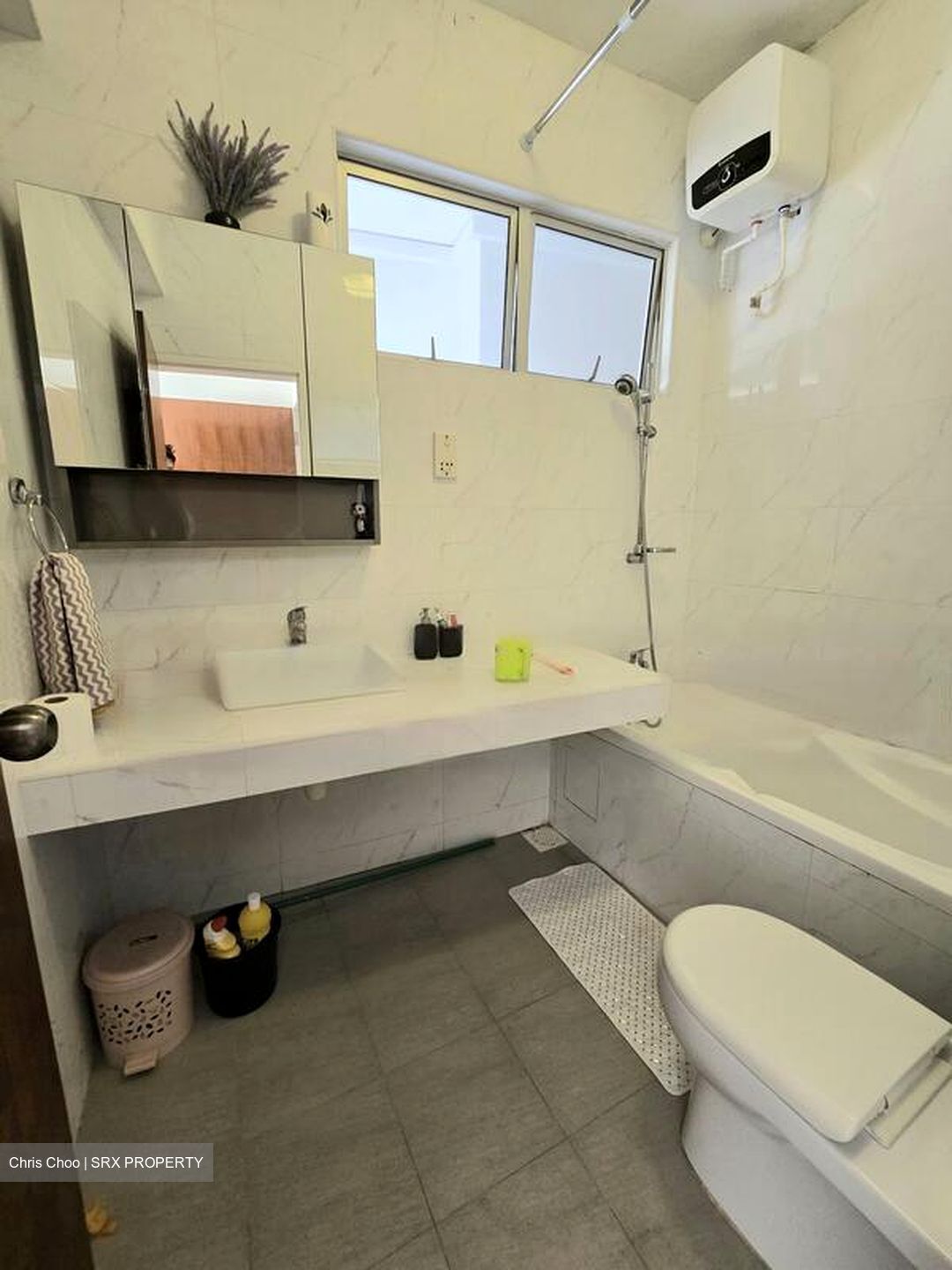 Clementi Park (D21), Condominium #439413641